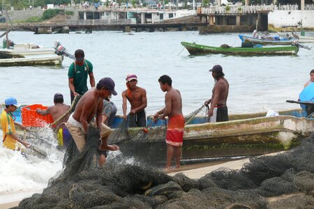 Pelikan the fisherman network