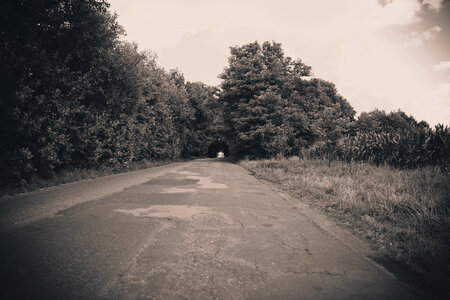 Summer Country Road photo