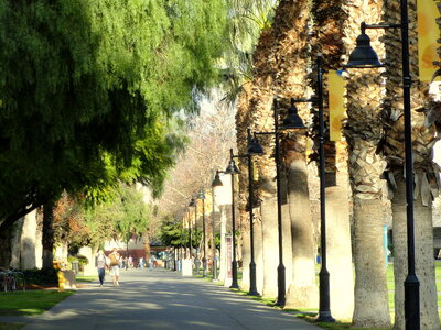 San Jose State University, San Jose, California photo