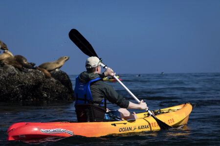 Monterey Bay Ocean Kayaking photo