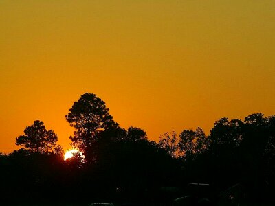 Dawn  