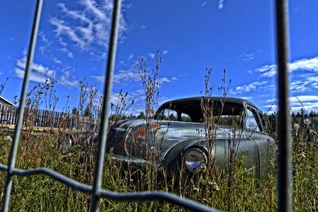 Hdr chicken wire fence photo