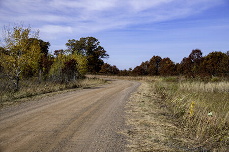 Path and Autumn Trees at Crex Meadows photo