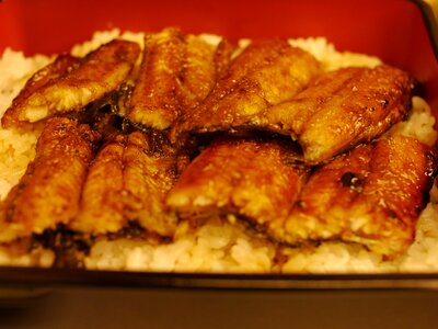 Eel broiled eel food photo