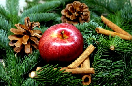 Apple beautiful photo cinnamon