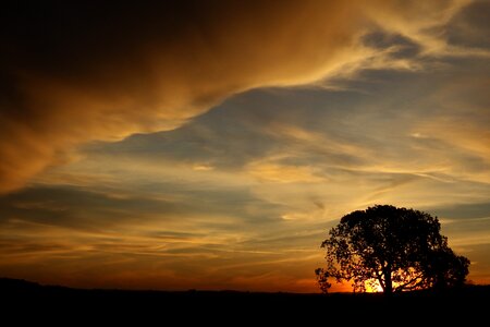 Sunset nature silhouette photo
