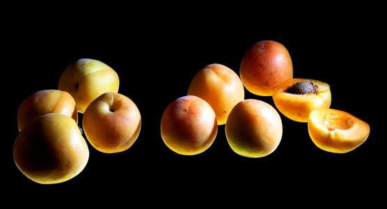 Apricots photo