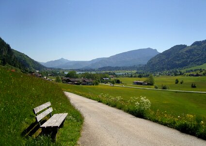 Austria meadow on the go photo