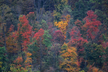 Autumn colorful monitor photo