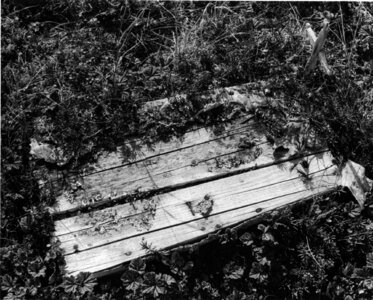 Coffin cross photo