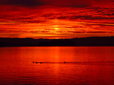 Red Sunset Lake photo
