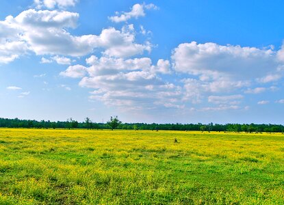 Green landscape agriculture