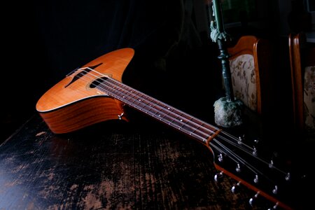 Musical instrument acoustic guitar strings photo
