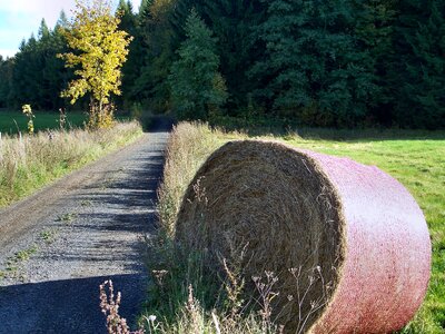 Straw autumn harvest