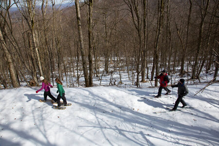 Cross-country skiing and snowshoeing-1