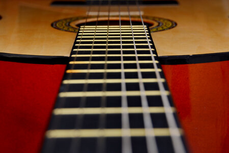 Guitar Strings photo