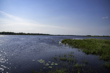 Pond and marsh landscape at Necedeh Wildlife Refuge photo