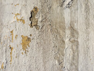 Flake peel plaster photo