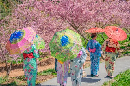 Young women wearing traditional Japanese Kimono