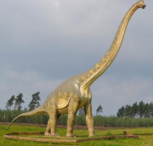 Apatosaurus theme park prehistoric times photo