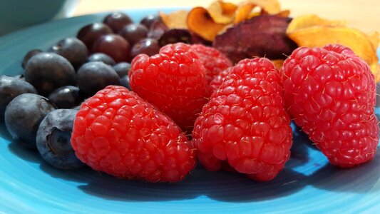 Berries berry blackberry photo