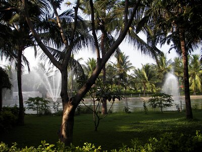 Resort hotel tropical photo