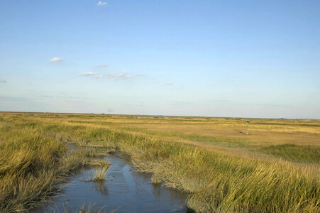 Landscape of coastal habitats photo