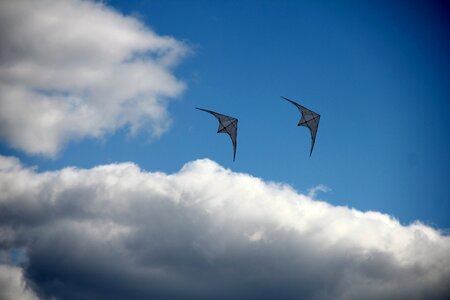 Sky dragon rising flying