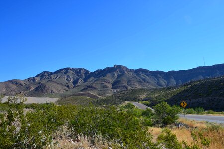 Daylight flora geology photo