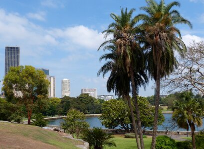 Park botanical flora
