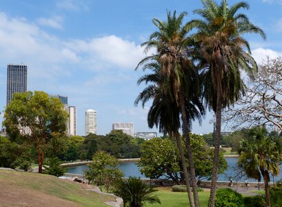 Park botanical flora photo