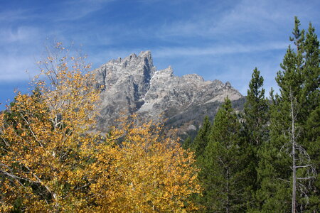 Yellowstone National Park Wyoming photo