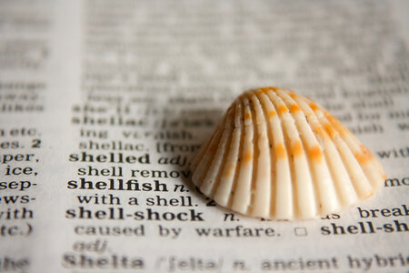 Shell Dictionary photo
