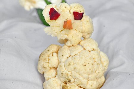 Cauliflower creativity decoration