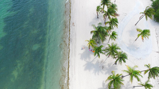 View of a Tropical Beach from Above photo