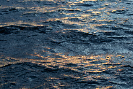 Dark Water Waves photo