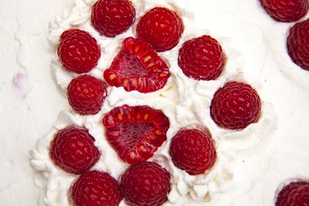 Himgeeren raspberry pie macro