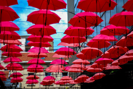 Red Umbrellas photo