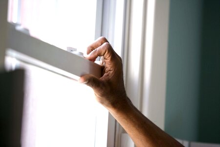 Window  