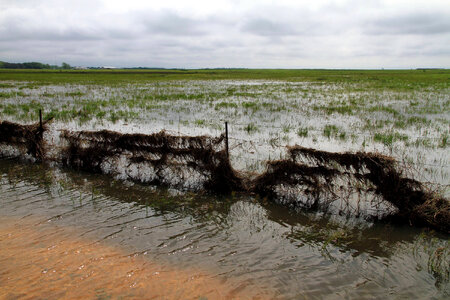 Attwater Prairie Chicken NWR flooding