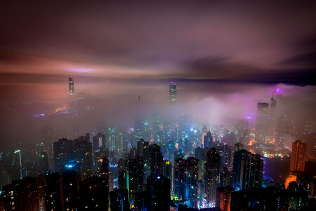 Hong Kong Mist photo