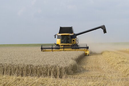 Harvest agricultural vehicles field