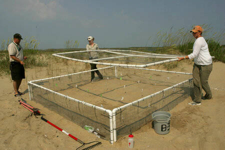 Turtle nest hatchery-1