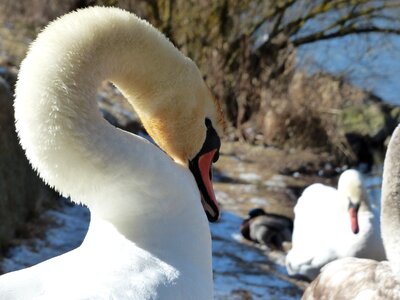 Bird river lake photo