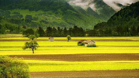 Switzerland nature green photo