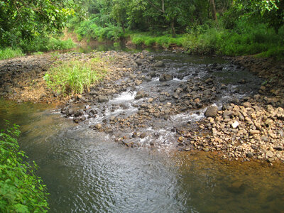 Stream Water Greenery photo