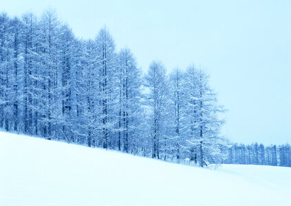 Snow on the montain, Hokaido photo