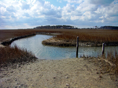 Salt Marsh landscape in Virginia