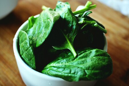 Green Spinach photo