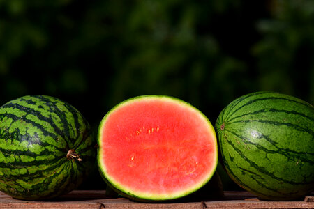 Watermelons photo